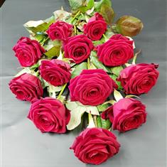 Simply Red Roses