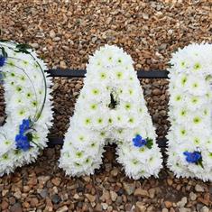 DAD with a large Blue Spray