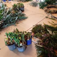 2nd April Spring Wreath Workshop