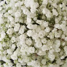 7th May Fresh Flower Crown Workshop