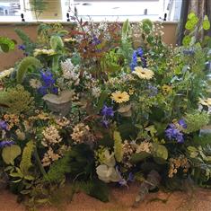 Front Facing Summer Meadow