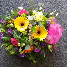 12th March Spring Basket at Sculthorpe Moor Nature Reserve